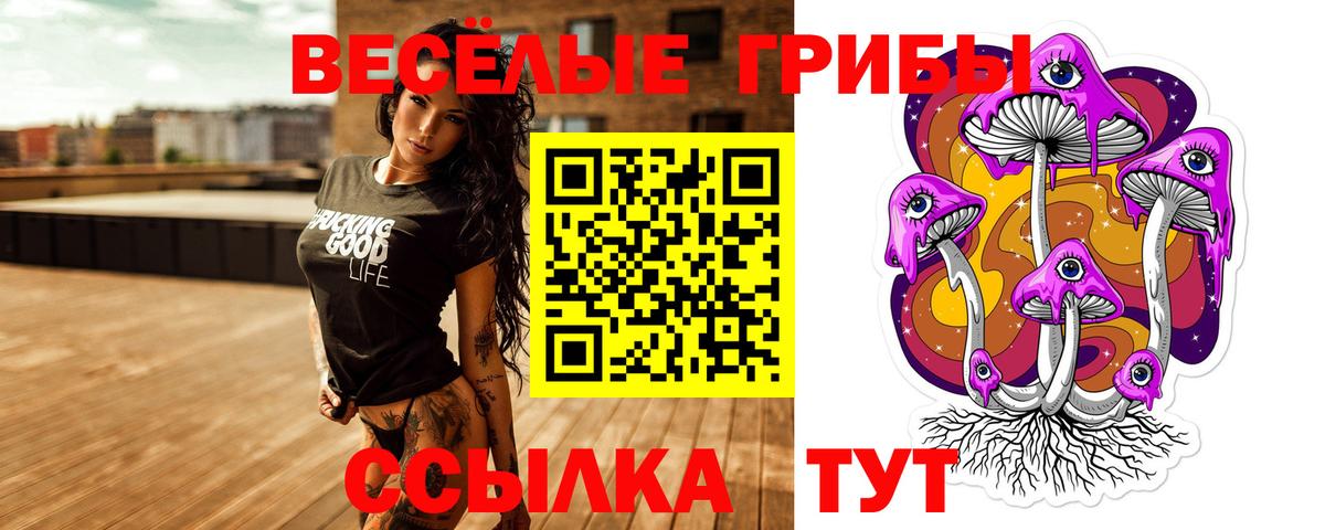 Псилоцибиновые грибы Cubensis  Вход с VPN  Волгодонск 