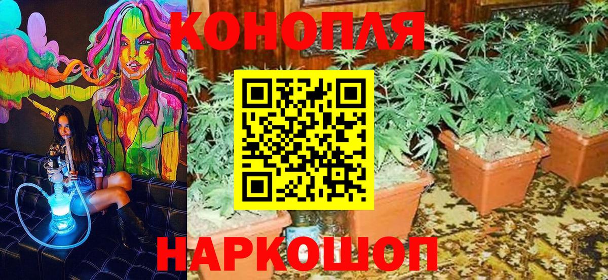 Каннабис индика Волгодонск